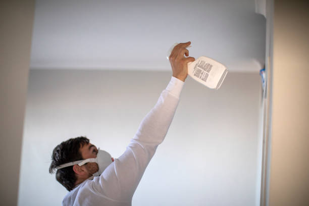 Best Commercial Mold Removal  in Coker, AL