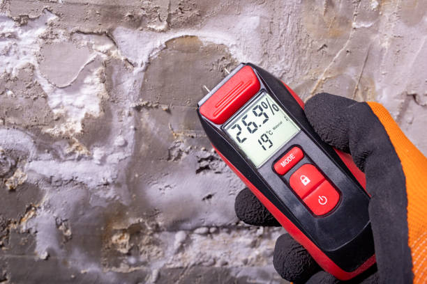 Best Best Mold Removal Companies  in Coker, AL